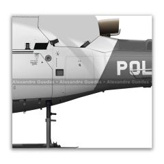 Helibrás HB-350 BA ESQUILO, PMSP, Águia 1, PP-EID - Art In Profiles - Os melhores Posters de Aviação
