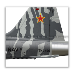 NORTHROP F-5F TIGER II, U.S. NAVY, BuNo 800456, AF 30, VFC-13. - Art In Profiles - Os melhores Posters de Aviação