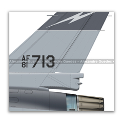 GENERAL DYNAMICS F-16A BLOCK 15 - USAF 81-0713 - Art In Profiles - Os melhores Posters de Aviação