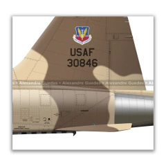 NORTHROP F-5E TIGER II, USAF, S/N 73-0846, 65th Aggressor Squadron, 57th ATG. - Art In Profiles - Os melhores Posters de Aviação