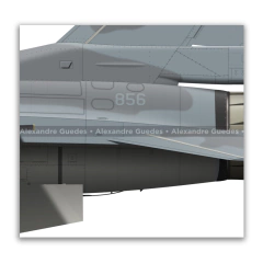 LOCKHEED MARTIN F-16C BLOCK 50 - FACH 856 - Art In Profiles - Os melhores Posters de Aviação
