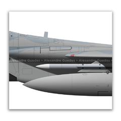 McDonnell Douglas, F-15C Eagle, S/N 83-0024, USAF - Art In Profiles - Os melhores Posters de Aviação