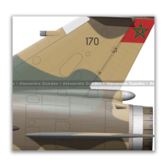 DASSAULT MIRAGE F-1CM-VI, RMAF, 170, ATLAS FIGHTER SQUADRON. - Art In Profiles - Os melhores Posters de Aviação