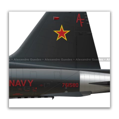 NORTHROP F-5F TIGER II, U.S. NAVY, BuNo 761580, AF 20, VFC-13. - Art In Profiles - Os melhores Posters de Aviação