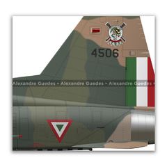 Northrop F-5E Tiger II, Fuerza Aérea Mexicana, 4506, Escuadrón Aéreo 401 - loja online