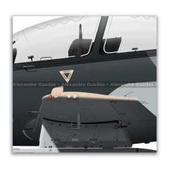 KAI KT-1P “TORITO” • FUERZA AÉREA DEL PERÚ • 447 • CRUZEX 2024 - Art In Profiles - Os melhores Posters de Aviação
