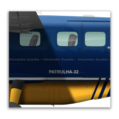 CESSNA 208B EX GRAND CARAVAN - PR-FPF - Art In Profiles - Os melhores Posters de Aviação