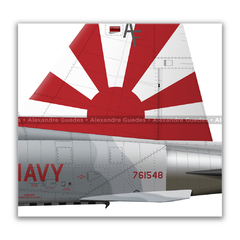 NORTHROP F-5N TIGER II, U.S. NAVY, BuNo 761548, AF 101, VFC-111. - Art In Profiles - Os melhores Posters de Aviação