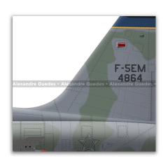 Northrop F-5EM Tiger II, FAB 4864, 1º GAVCA - Art In Profiles - Posters e Livros sobre Aviação