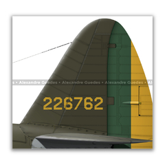 REPUBLIC P-47D-28-RE THUNDERBOLT, S/N 44-19666, B6, 1º GAVCA - (cópia) - Art In Profiles - Os melhores Posters de Aviação