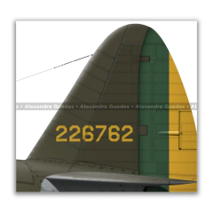 REPUBLIC P-47D-28-RE THUNDERBOLT, S/N 44-19666, B6, 1º GAVCA - (cópia) - Art In Profiles - Os melhores Posters de Aviação