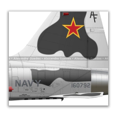 NORTHROP F-5E TIGER II, U.S. NAVY, BuNo 160792, AF 21, VFC-13. - Art In Profiles - Posters e Livros sobre Aviação