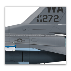GENERAL DYNAMICS F-16C BLOCK 32 - USAF 86-0272 - Art In Profiles - Os melhores Posters de Aviação