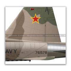 NORTHROP F-5N TIGER II, U.S. NAVY, BuNo 761578, 121, VFC-13. - Art In Profiles - Posters e Livros sobre Aviação
