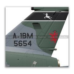 AMX INTERNACIONAL A-1BM, FAB 5653, 1º/10º GAV - 3º/10º GAV, BASM - Art In Profiles - Os melhores Posters de Aviação