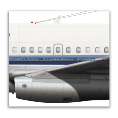 Boeing 737-200, PP-SMV, VASP - online store
