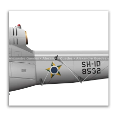 Bell 205 D/H Iroquois SH-1D, FAB 8532, 2º/10º GAV - Esquadrão Pelicano - Art In Profiles - Os melhores Posters de Aviação