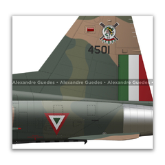 Northrop F-5F Tiger II, Fuerza Aérea Mexicana, 4501, Escuadrón Aéreo 401 - loja online