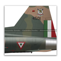 Northrop F-5F Tiger II, Fuerza Aérea Mexicana, 4501, Escuadrón Aéreo 401 - tienda online