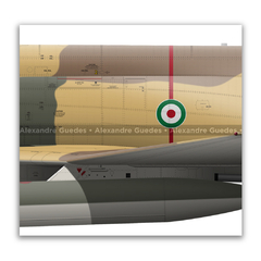 MCDONNELL DOUGLAS F-4D PHANTOM II, IIAF, 14870, 7th TFB. - Art In Profiles - Os melhores Posters de Aviação