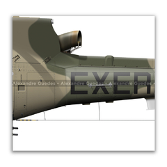 Helibrás HA-1 AS-550 A2 FENNEC AvEx, EB 1035, 1º BAVEX - Art In Profiles - Os melhores Posters de Aviação