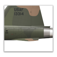 NORTHROP F-5C "SKOSHI TIGER", USAF, S/N 14-13314, 3th TFW. - Art In Profiles - Os melhores Posters de Aviação