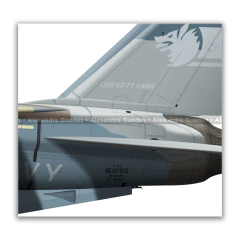 GRUMMAN F-14A TOMCAT, U.S. NAVY, BuNo 161290, NE 104, VF-1. - Art In Profiles - Os melhores Posters de Aviação