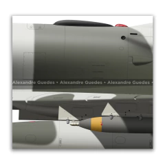 Poster A-4C Skyhawk C-318: The Hero's Final Mission, Lieutenant Néstor Bolzán - online store