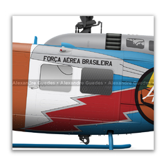 Bell 205 D/H Iroquois SH-1D, FAB 8530, 1º/8º GAV - Esquadrão Falcão - Art In Profiles - Os melhores Posters de Aviação
