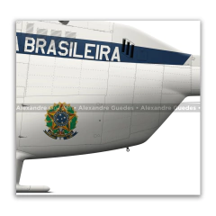 Bell 206A JetRanger / VH-4, FAB 8570, GTE - Grupo de Transporte Especial - Art In Profiles - Os melhores Posters de Aviação