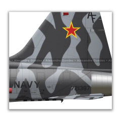 NORTHROP F-5E TIGER II, U.S. NAVY, BuNo 721387, AF 00, VFC-13. - Art In Profiles - Os melhores Posters de Aviação