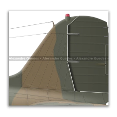 DOUGLAS C-47D-30-DK "DAKOTA", RHODESIAN AIR FORCE, 53 - Art In Profiles - Os melhores Posters de Aviação