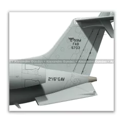 EMBRAER E-99M, FAB 6703, 2º/6º GAV - Art In Profiles - Os melhores Posters de Aviação