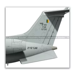 EMBRAER R-99, FAB 6750, 2º/6º GAV - Art In Profiles - Os melhores Posters de Aviação