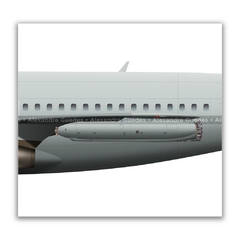 BOEING 707-324C-H, KC-137E, FAB 2404, 2º/2º GT - Art In Profiles - Os melhores Posters de Aviação