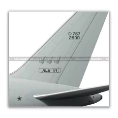 BOEING 767-300 C-767, FAB 2900, 2º/2º GT - Art In Profiles - Os melhores Posters de Aviação