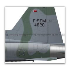 NORTHROP F-5EM TIGER II, FAB 4820, 1º/14º GAV - Art In Profiles - Os melhores Posters de Aviação