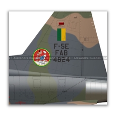 NORTHROP F-5E TIGER II, FAB 4824, 1º GAVCA - Art In Profiles - Os melhores Posters de Aviação