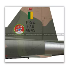 NORTHROP F-5E TIGER II, FAB 4849, 1º GAVCA - Art In Profiles - Os melhores Posters de Aviação