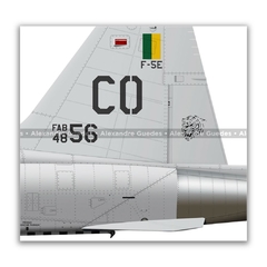 NORTHROP F-5E TIGER II, FAB 4856, 1º/14º GAV - Art In Profiles - Os melhores Posters de Aviação