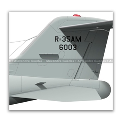 LEARJET R-35AM, FAB 6003, 1º/6º GAV - Art In Profiles - Os melhores Posters de Aviação