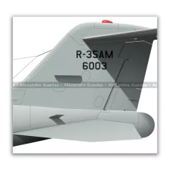 LEARJET R-35AM, FAB 6003, 1º/6º GAV - Art In Profiles - Os melhores Posters de Aviação