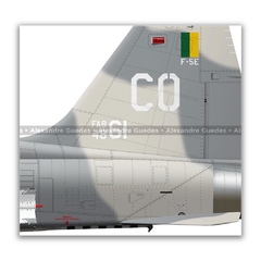 NORTHROP F-5E TIGER II, FAB 4861, 1º/14º GAV - Art In Profiles - Os melhores Posters de Aviação
