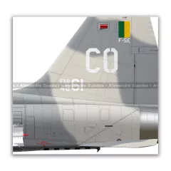 NORTHROP F-5E TIGER II, FAB 4861, 1º/14º GAV - Art In Profiles - Os melhores Posters de Aviação