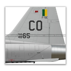 NORTHROP F-5E TIGER II, FAB 4865, 1º/14º GAV - Art In Profiles - Os melhores Posters de Aviação