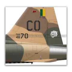 NORTHROP F-5E TIGER II, FAB 4870, 1.º/14.º GAV - Art In Profiles - Os melhores Posters de Aviação