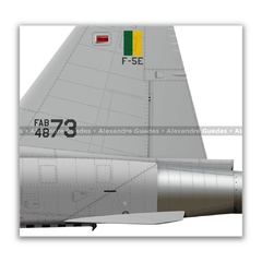 NORTHROP F-5E TIGER II, FAB 4873, 1º/14º GAV - Art In Profiles - Os melhores Posters de Aviação