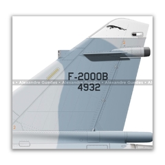 DASSAULT MIRAGE F-2000B, FAB 4932, 1º GDA - Art In Profiles - Os melhores Posters de Aviação