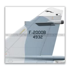 DASSAULT MIRAGE F-2000B, FAB 4932, 1º GDA - Art In Profiles - Os melhores Posters de Aviação