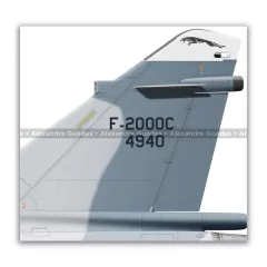 DASSAULT MIRAGE F-2000C, FAB 4940, 1º GDA - Art In Profiles - Os melhores Posters de Aviação